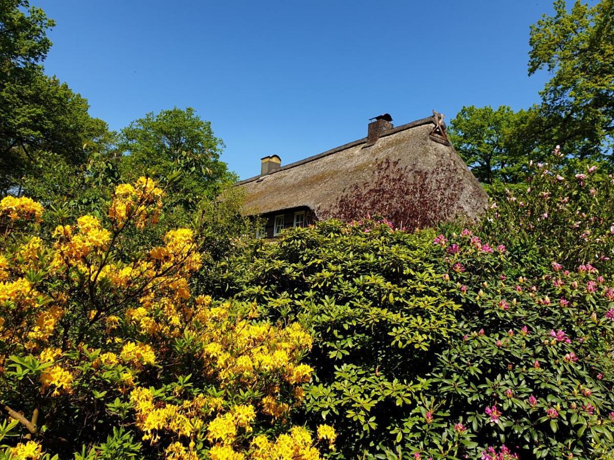 Hof Lindemann Villa Шневердинген Екстериор снимка