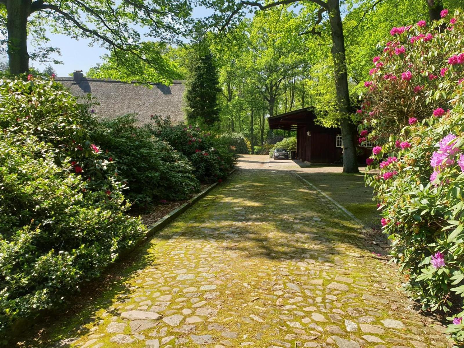 Hof Lindemann Villa Шневердинген Екстериор снимка